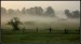 Mlha u Lvova